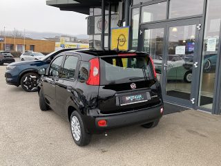 Fiat Pandina FireFly Hybrid 70 Icon