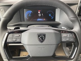 Peugeot Traveller Business BlueHDi 180 Lang EAT8!TOP AKTION!